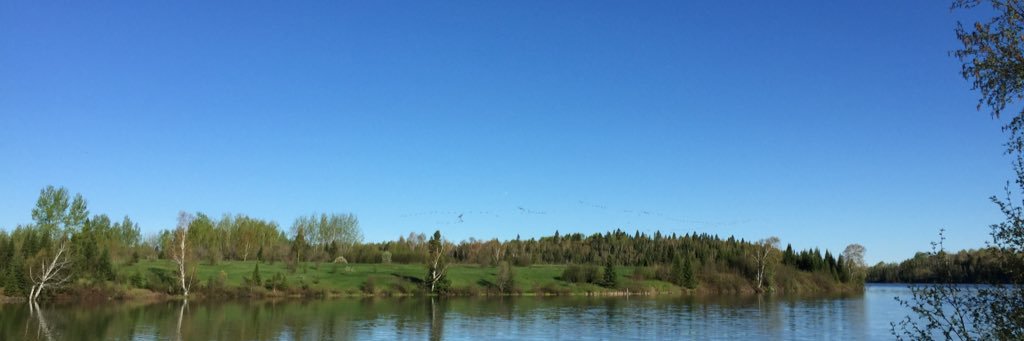 sarah_dobson6's profile banner image