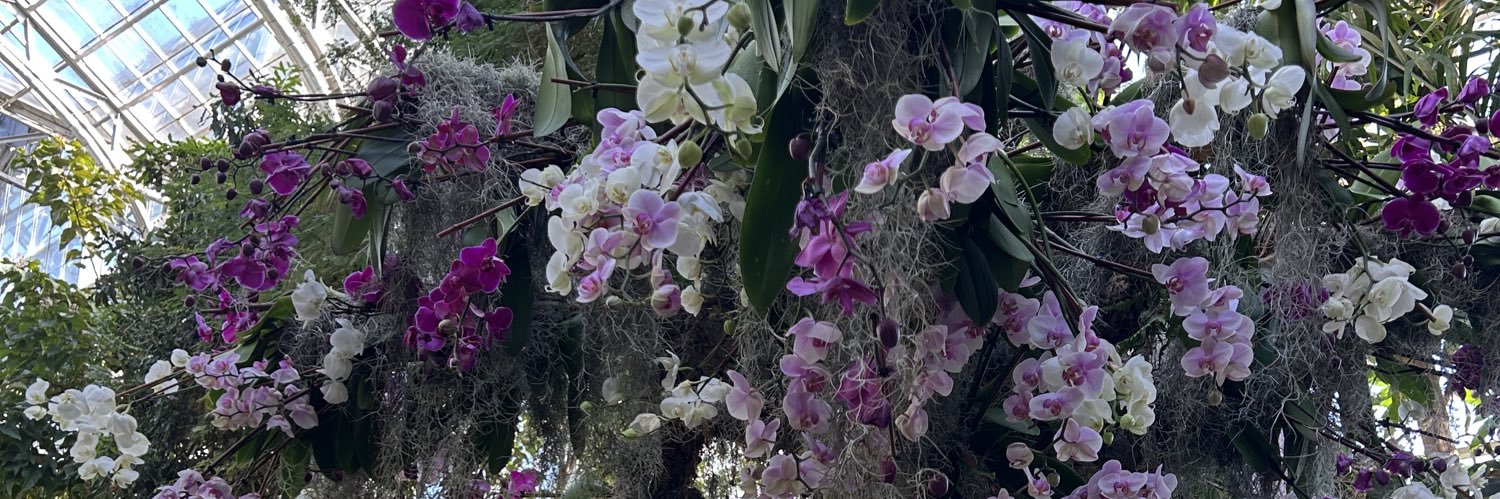 Cmbrownnnn's profile banner image