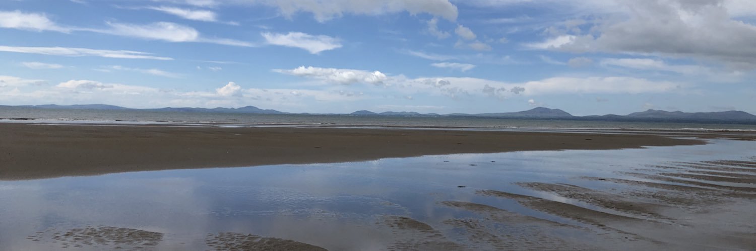 Susan Cowling banner