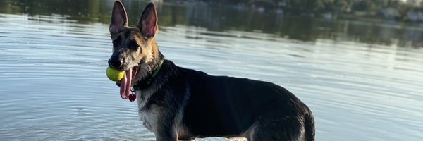 Jasper_Earls Profile Banner