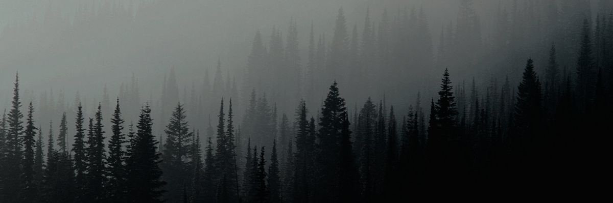 clautrujillo0's profile banner image