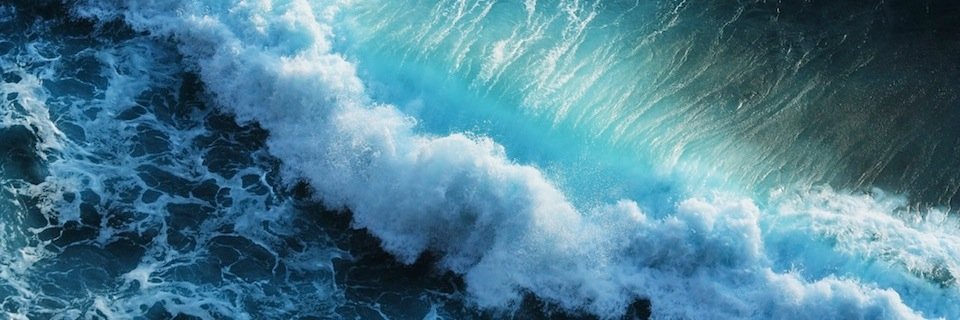 Marcus A Constantine banner