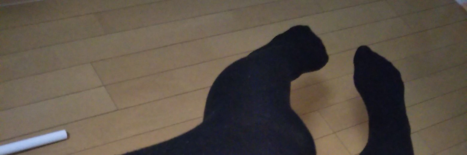 sinryo350's profile banner image