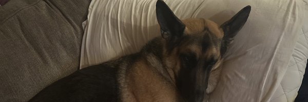 Carmichael15 Profile Banner