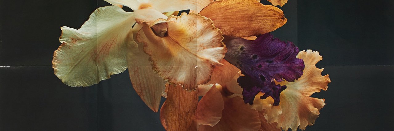 danigalleg04's profile banner image