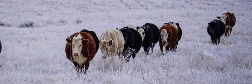 vftfarm's profile banner image