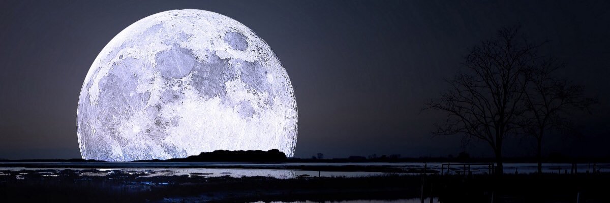 mnmulhem's profile banner image