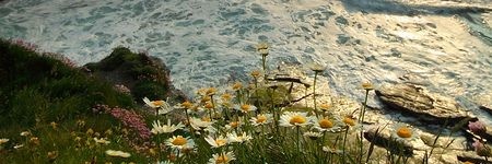 omlmo2004's profile banner image