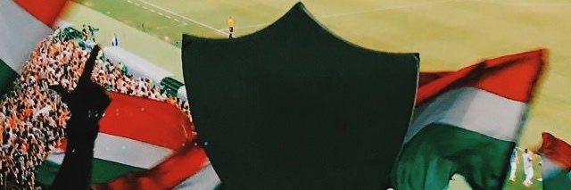 ppereirarenata's profile banner image
