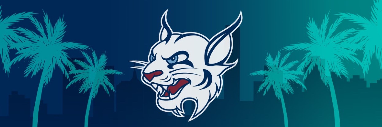 StThomasUniv's profile banner image