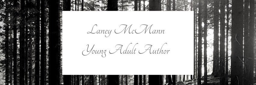 LaneyMcMann's profile banner image