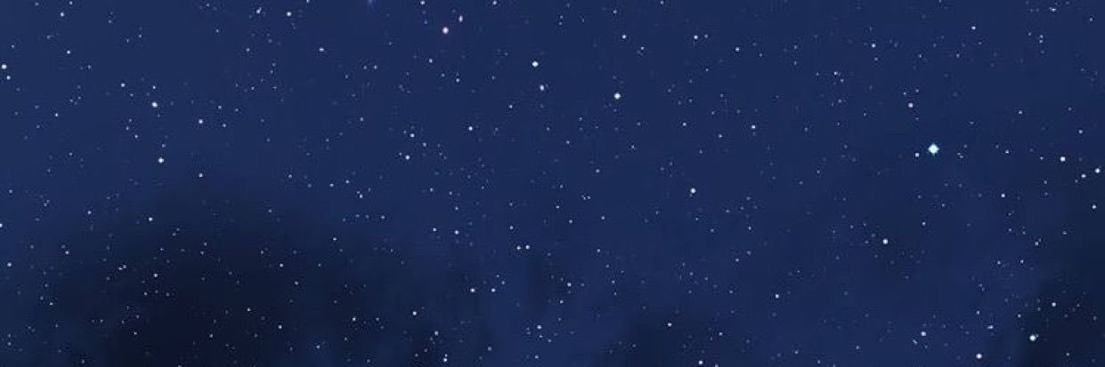 RobertoPizza5's banner