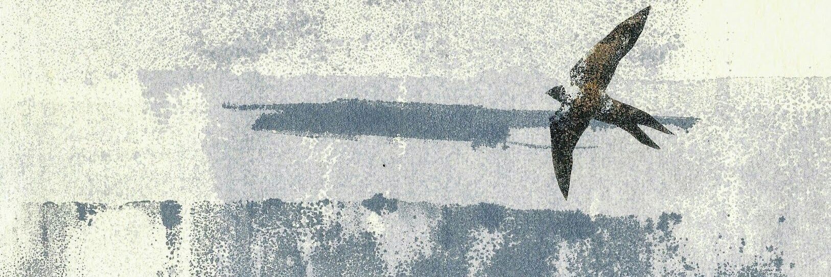 Andrew Dalton banner