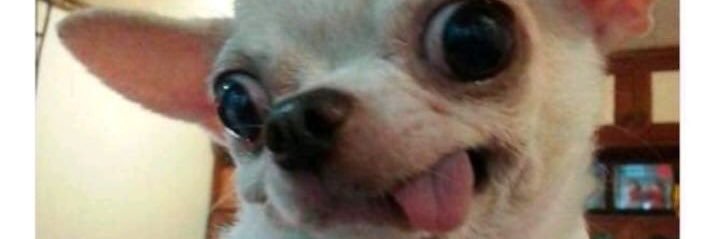 andreitaa_'s profile banner image