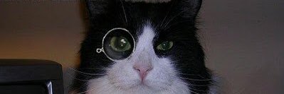 BigPigHeart's profile banner image