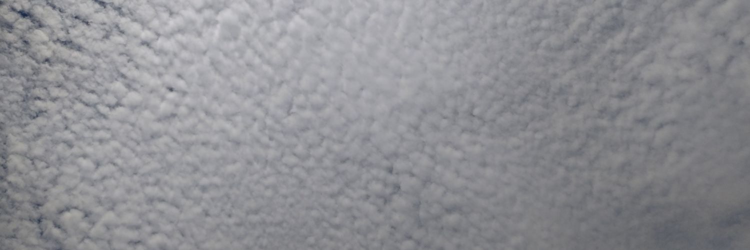 fcgonzalez29's profile banner image