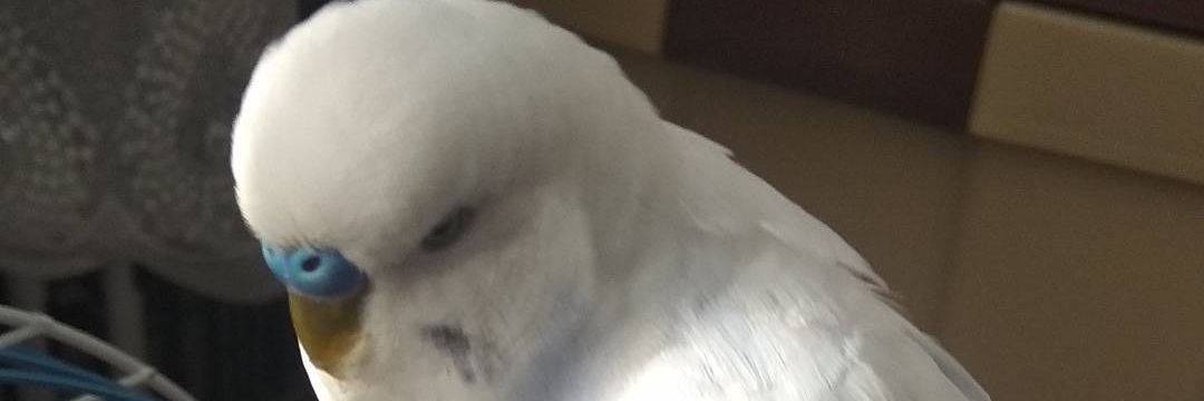 canozge59's profile banner image