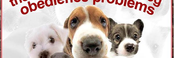 GoodDogBehavior Profile Banner