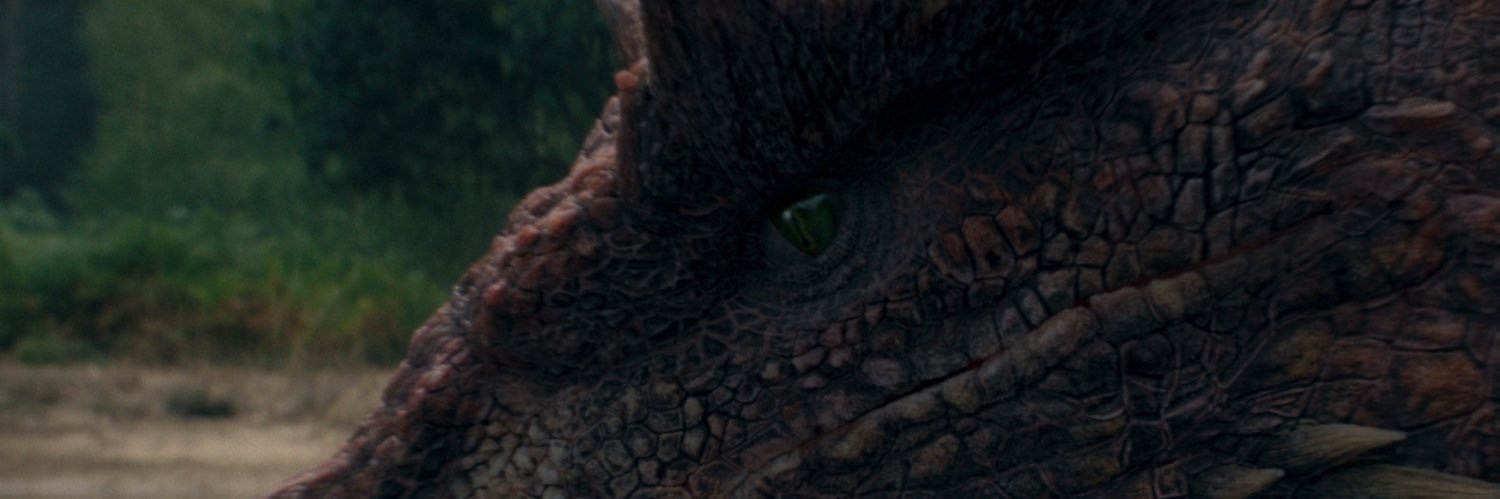 rsamss_'s profile banner image