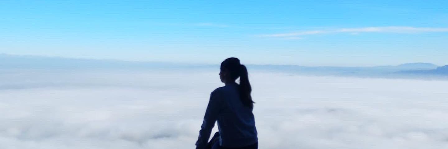 beeertu's profile banner image