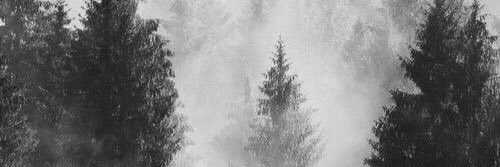 arioyanuarsya's profile banner image
