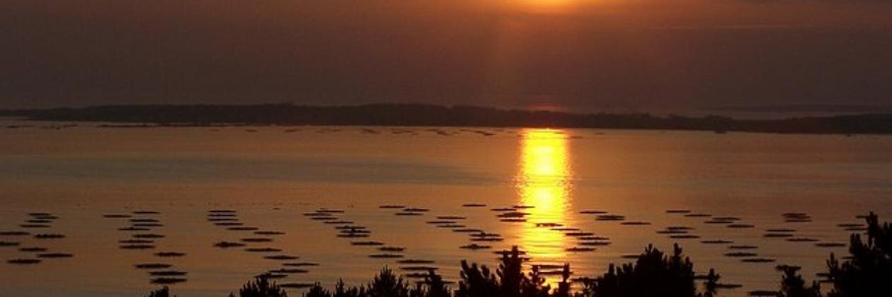 jesusgonzalezmateos banner