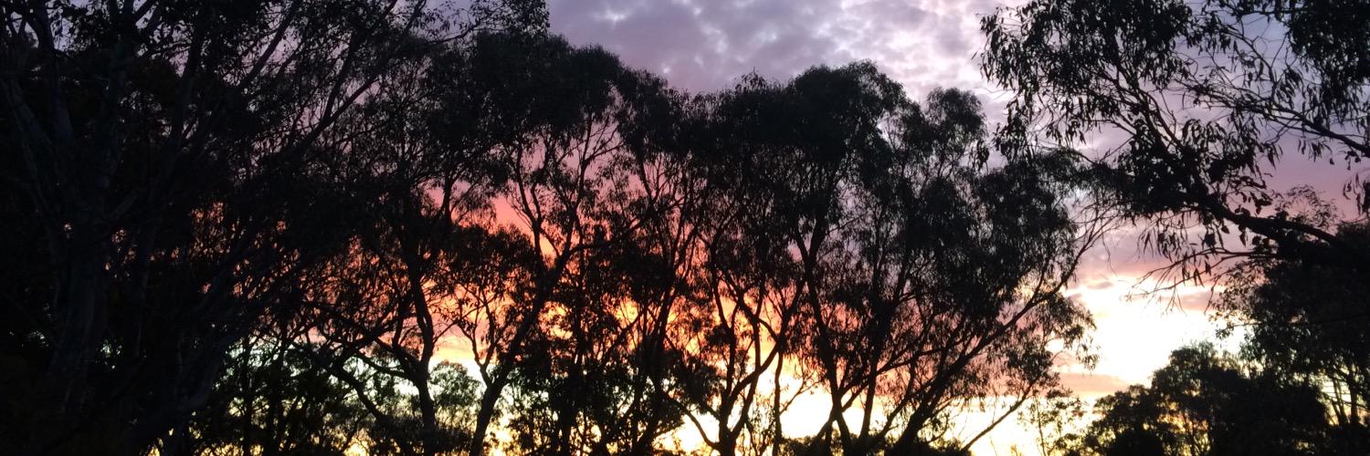 ClemencyN's profile banner image