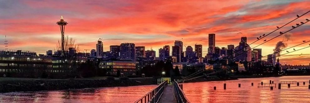 fink206's profile banner image
