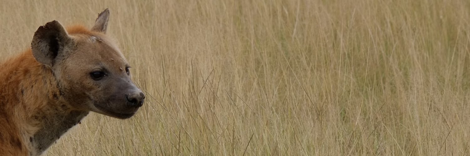 𝐃enverDegen.eth banner