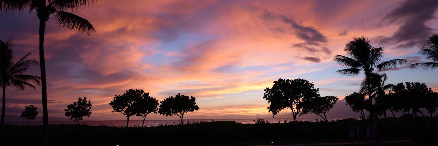 JennaLenartz's profile banner image