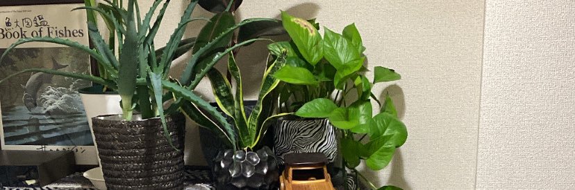 Imbeautifulface's profile banner image