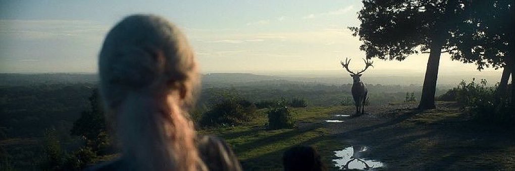 kaltseelee's profile banner image