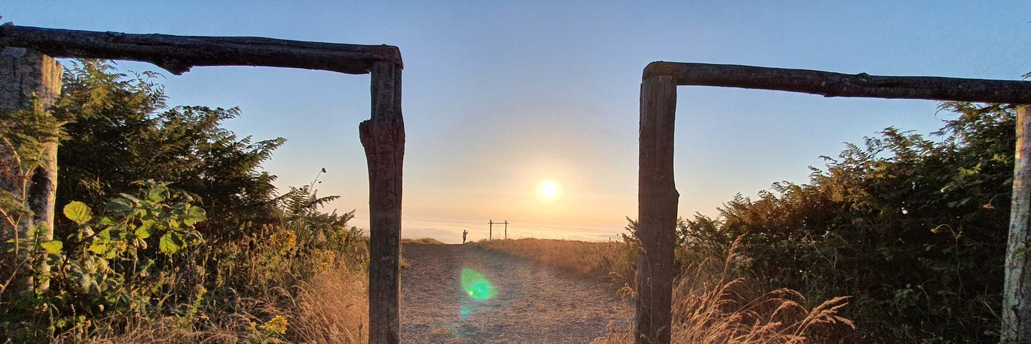 Vinicius C. R. banner