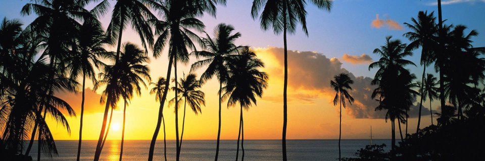 WendyMorgan's profile banner image