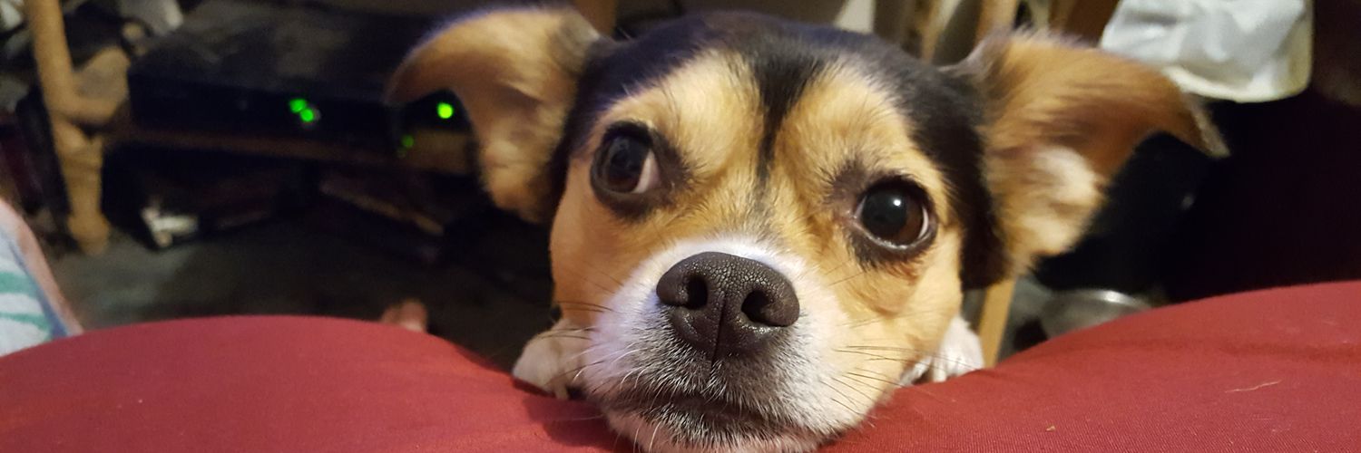 corndog_slutt's profile banner image