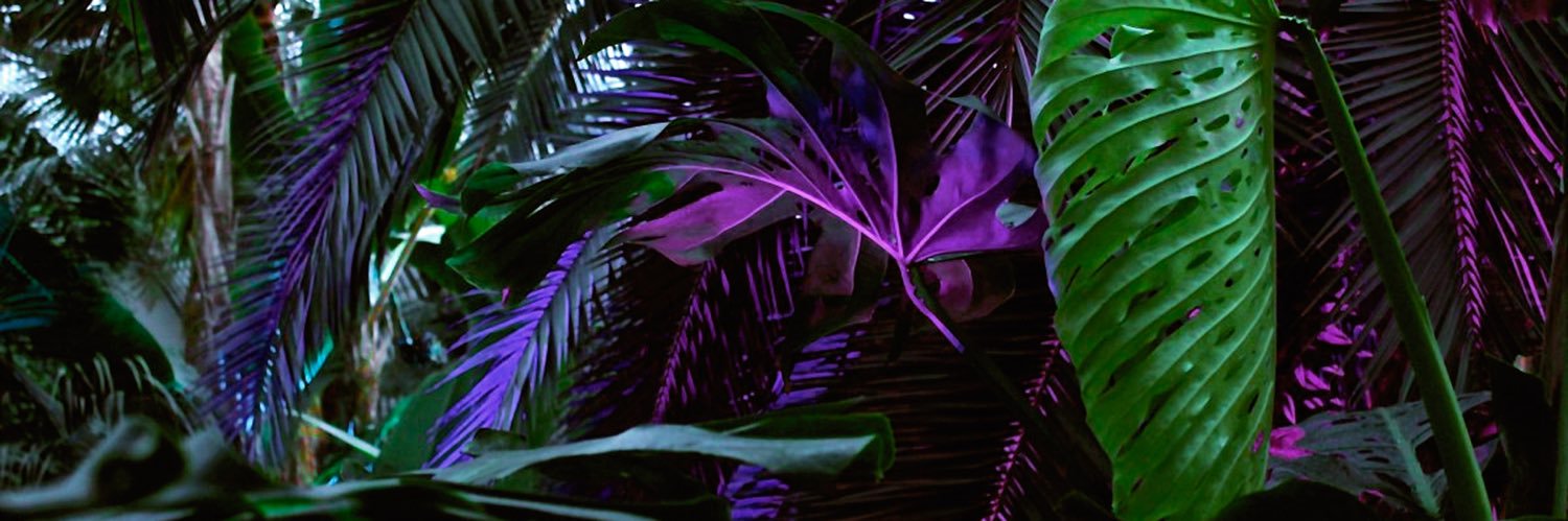 zoIonavy's profile banner image