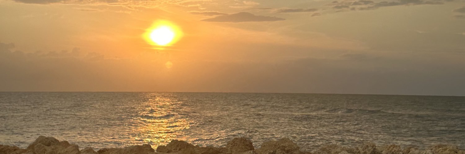 VicoMRo's profile banner image