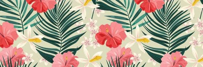 uana_C's profile banner image