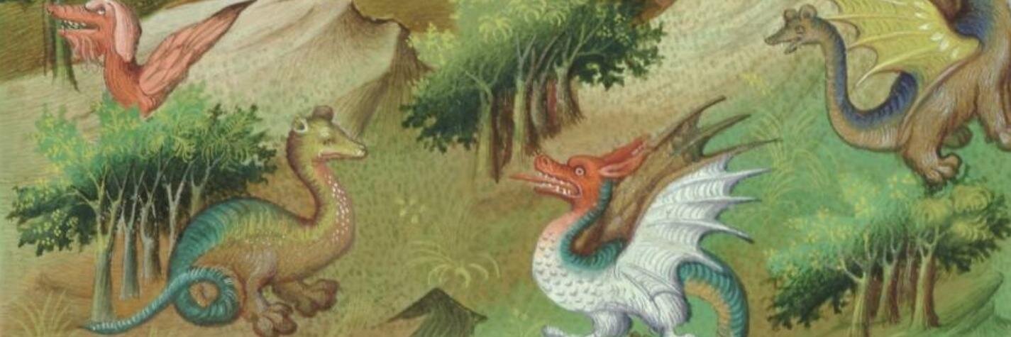 binhomiranda's profile banner image