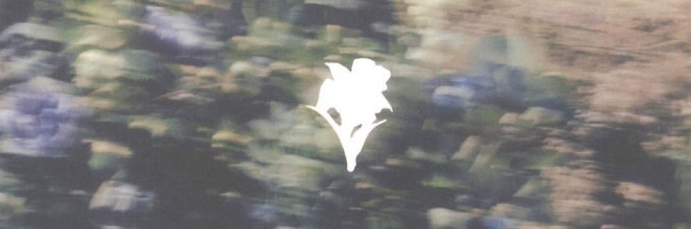 LiaNotavailabl's profile banner image