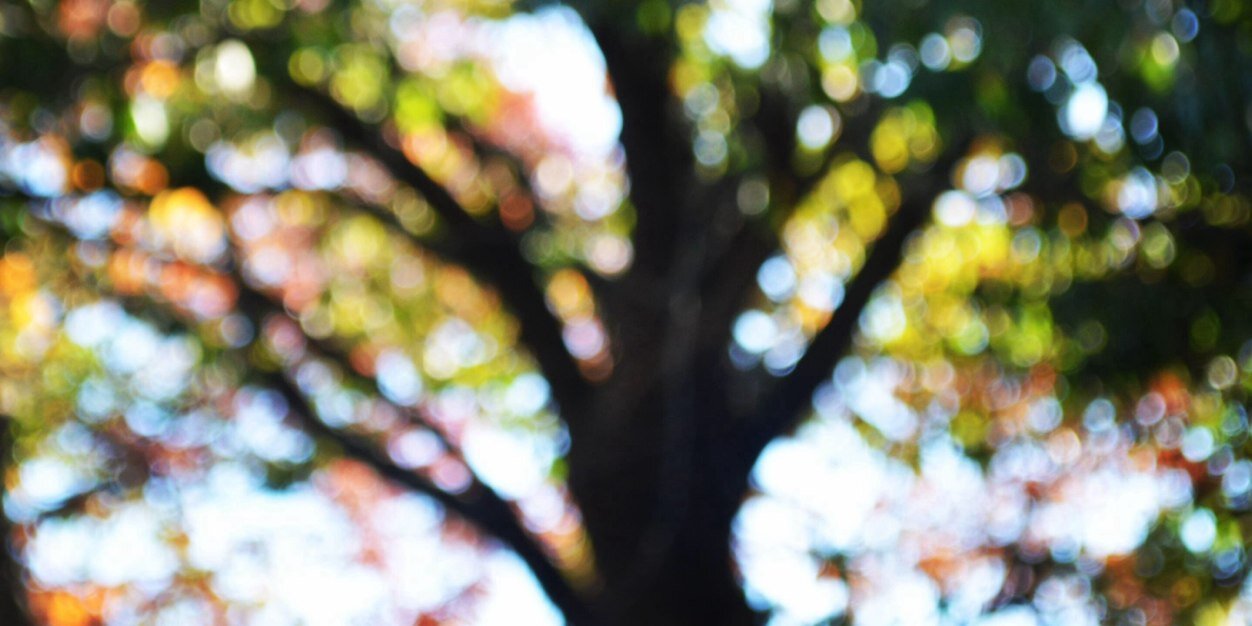MARCORPMX's profile banner image