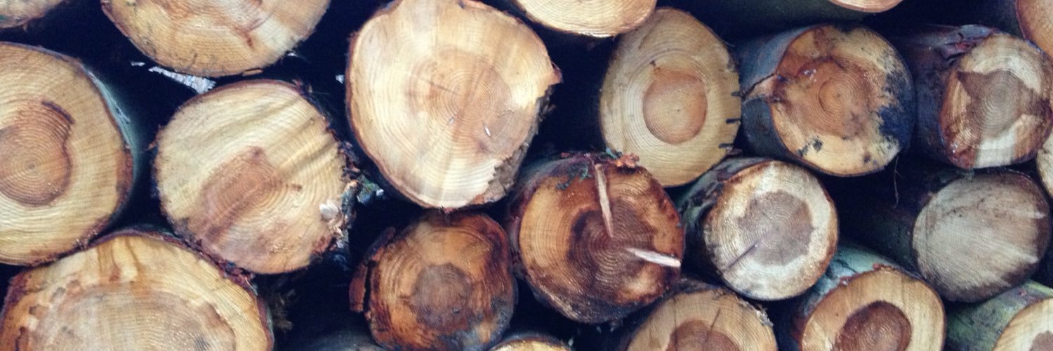 plantpot_sb's profile banner image