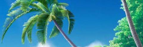 cindydodgen's profile banner image