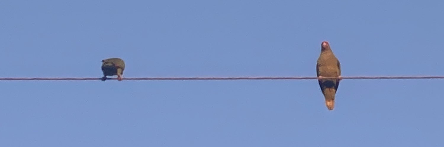 itsemhayes's profile banner image