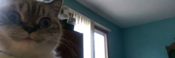 Lexie_Kujo's profile banner image