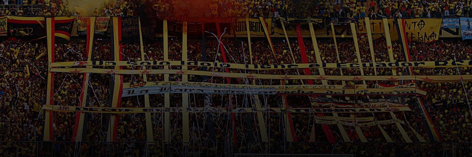 Chakaitos's profile banner image