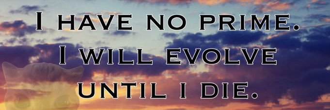 nootropic aimer 🇧🇦 banner