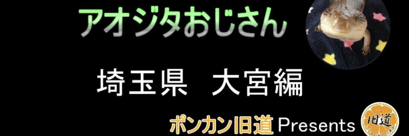 アオジタ☆おじさん banner