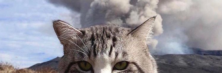 Juanddbc's profile banner image