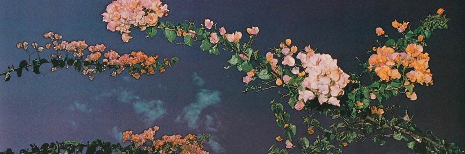 SwiatNowy's profile banner image